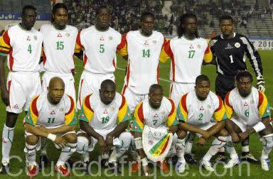 les lions